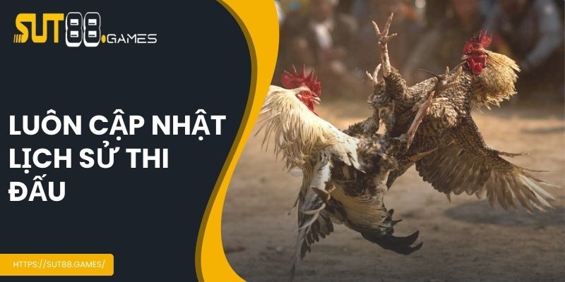 Đá Gà Cựa Dao - Sảnh Cá Cược Hot Nhất Hiện Nay Tại SUT88 6 Luôn cập nhật lịch sử thi đấu