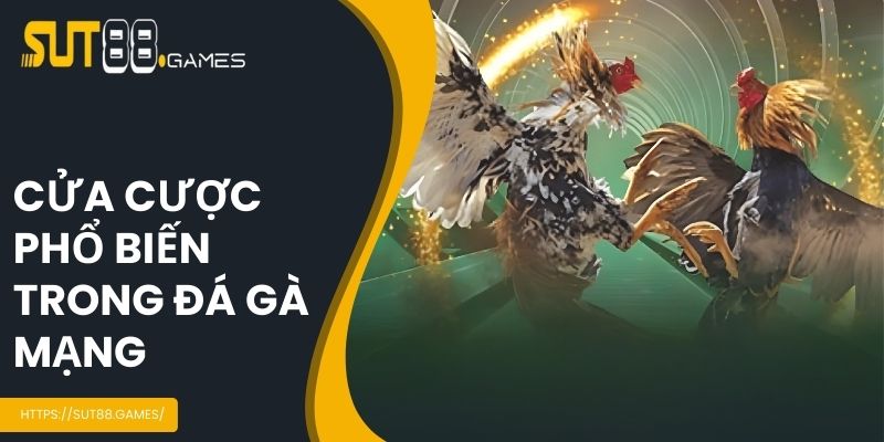 Đá Gà Mạng - Bộ Môn Cá Cược Trực Tuyến Hot Nhất SUT88 5 Các cửa cược chọi gà chính