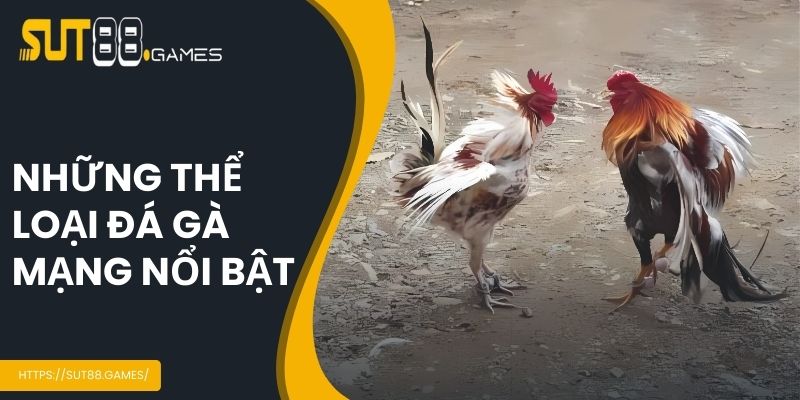 Đá Gà Mạng - Bộ Môn Cá Cược Trực Tuyến Hot Nhất SUT88 4 Phân loại đá gà phổ biến