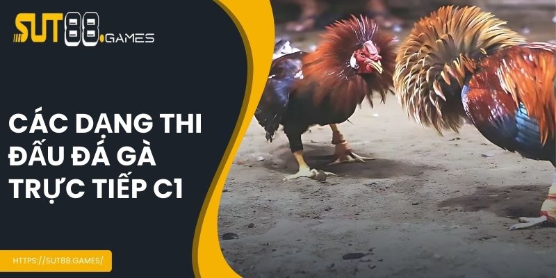 Các dạng thi đấu trực tiếp C1 phổ biến