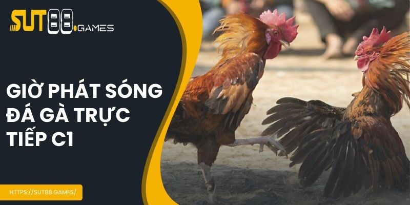 Giờ phát sóng trực tiếp đá gà C1