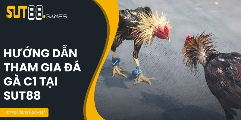 Cách tham gia đá gà C1